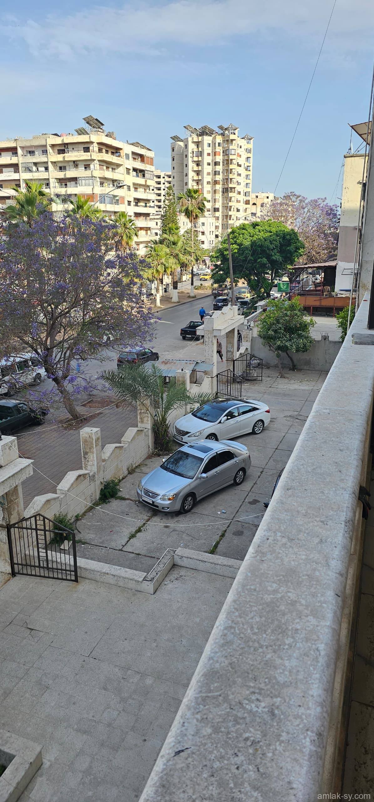 صورة العقار
