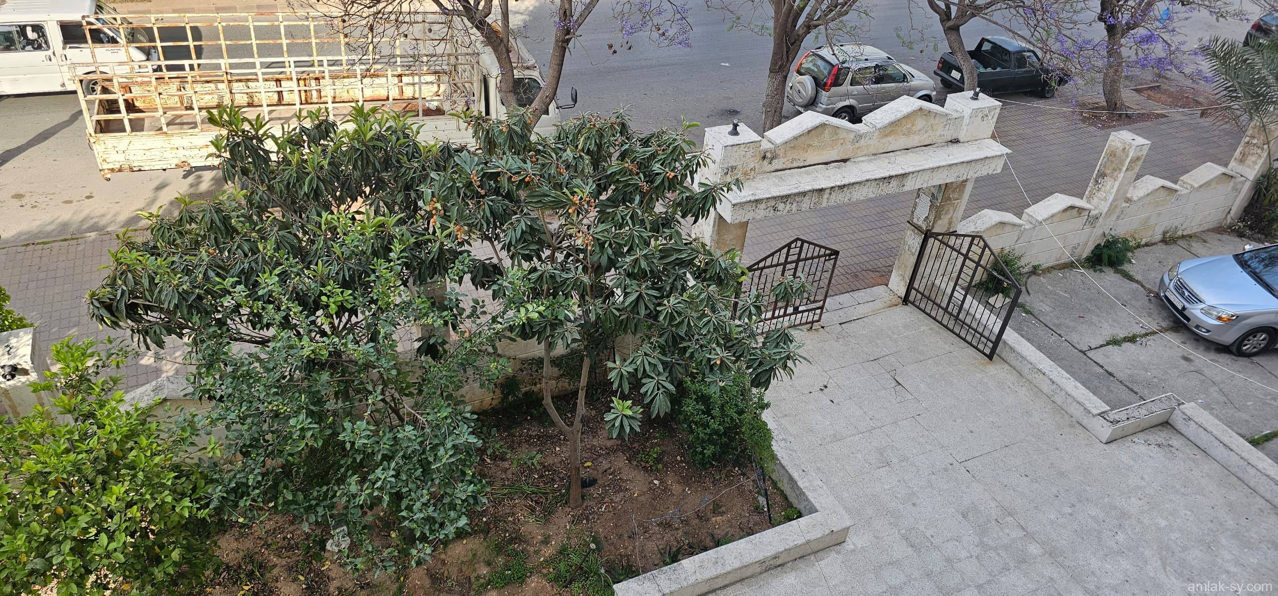 صورة العقار