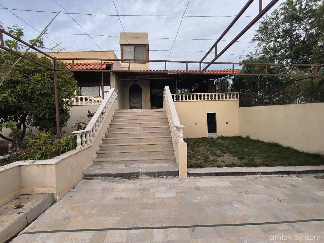 صورة العقار