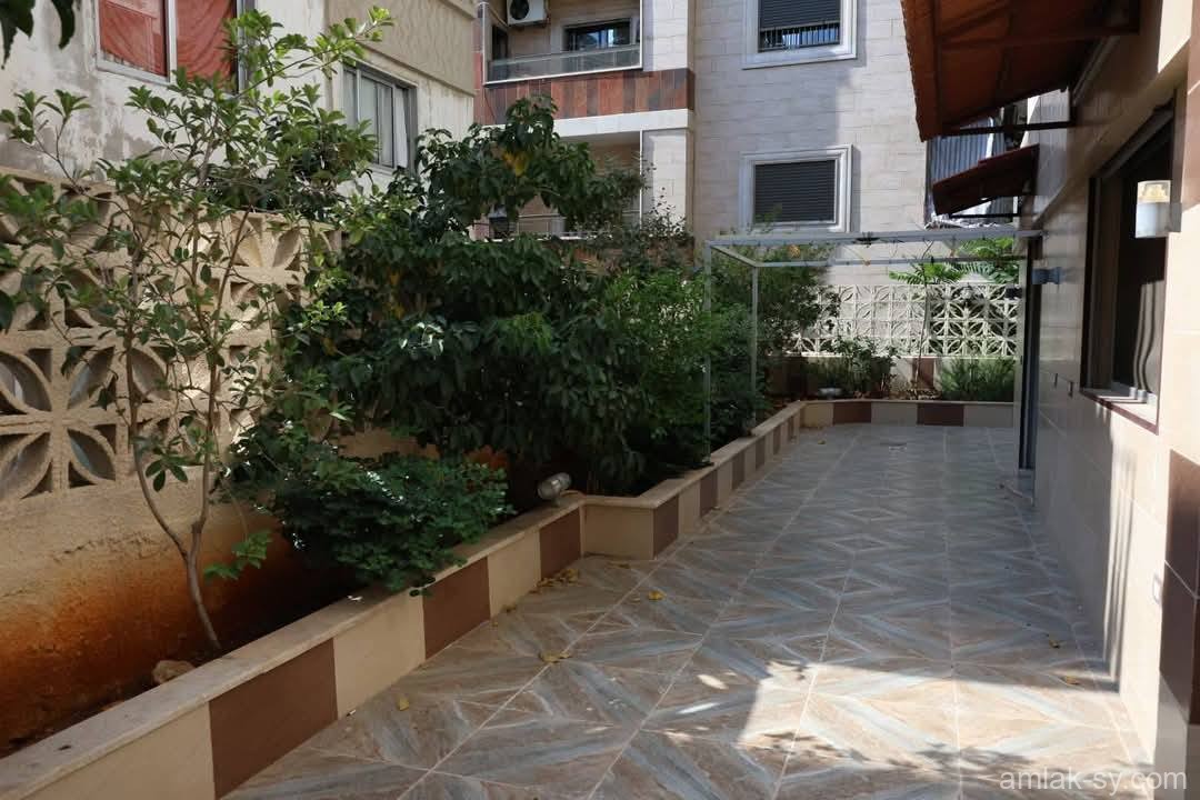 صورة العقار