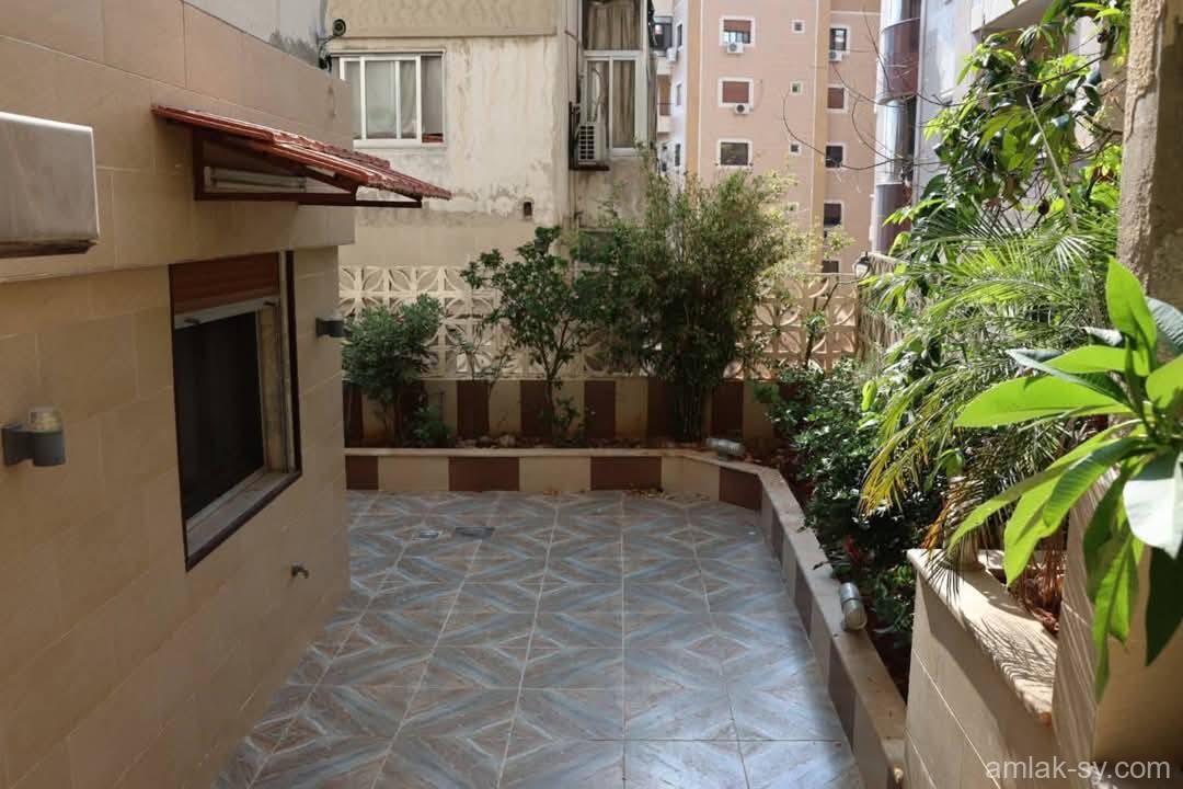 صورة العقار