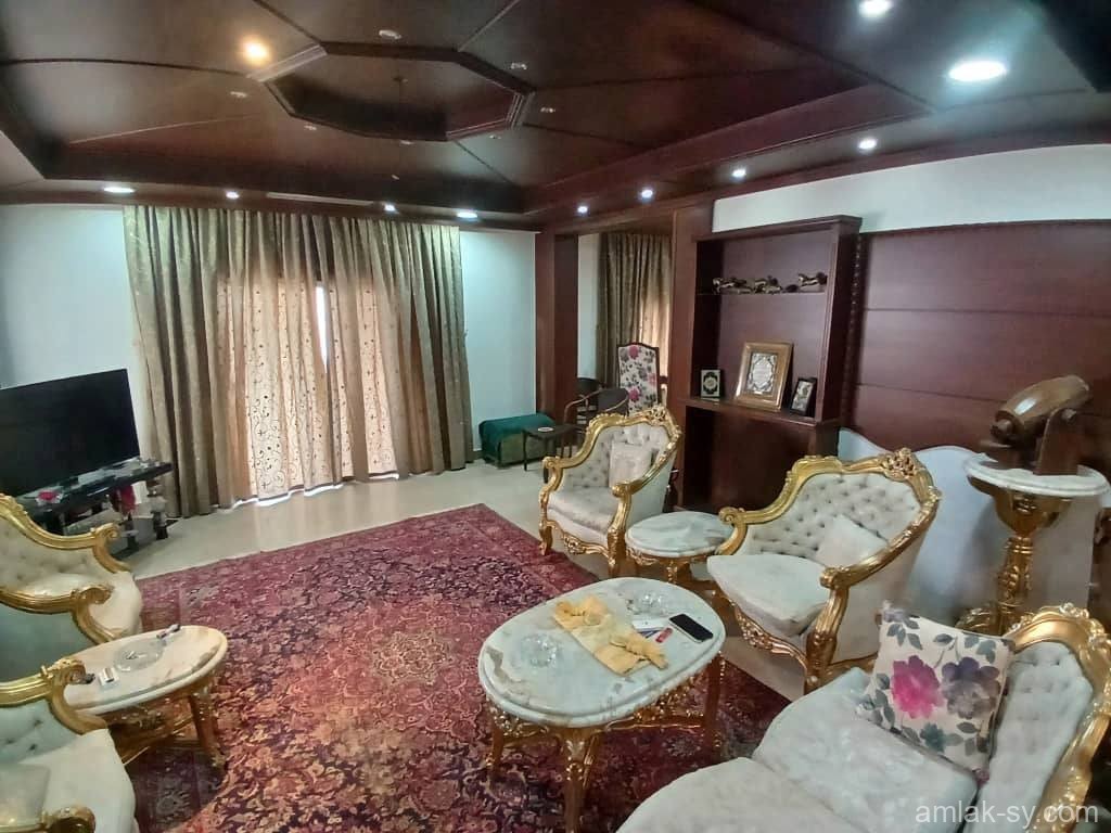 صورة العقار