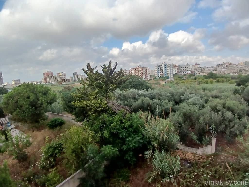 صورة العقار
