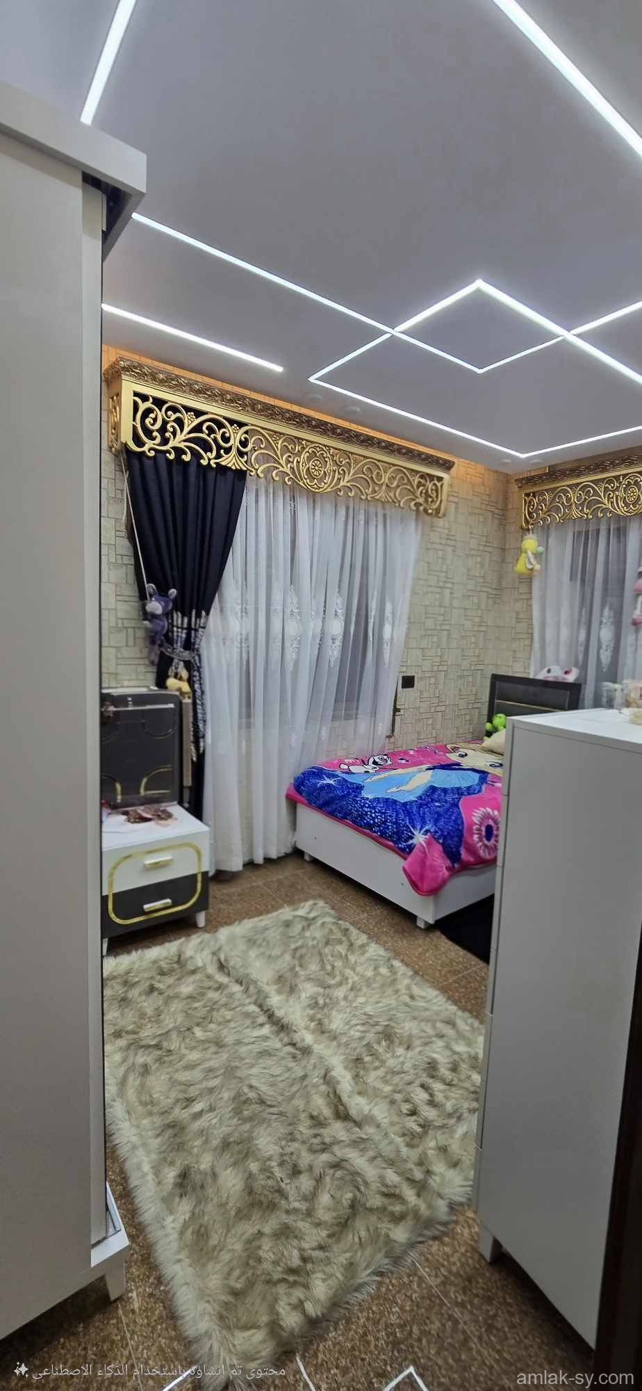 صورة العقار