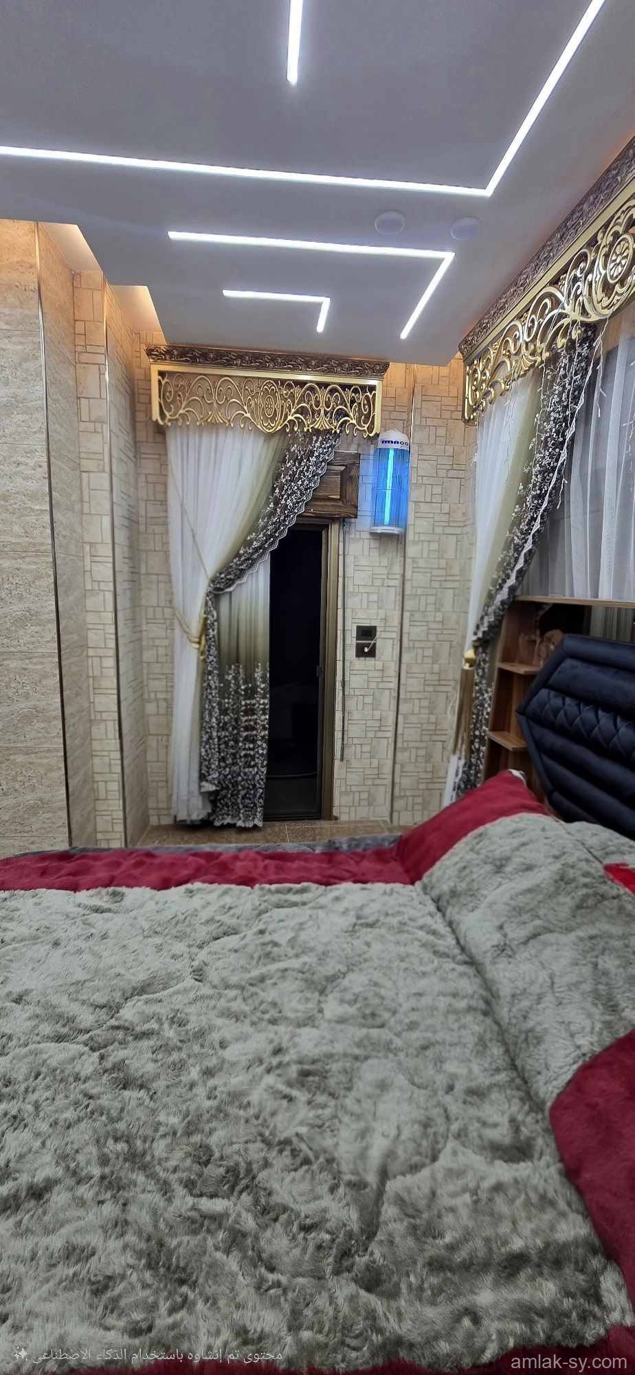 صورة العقار