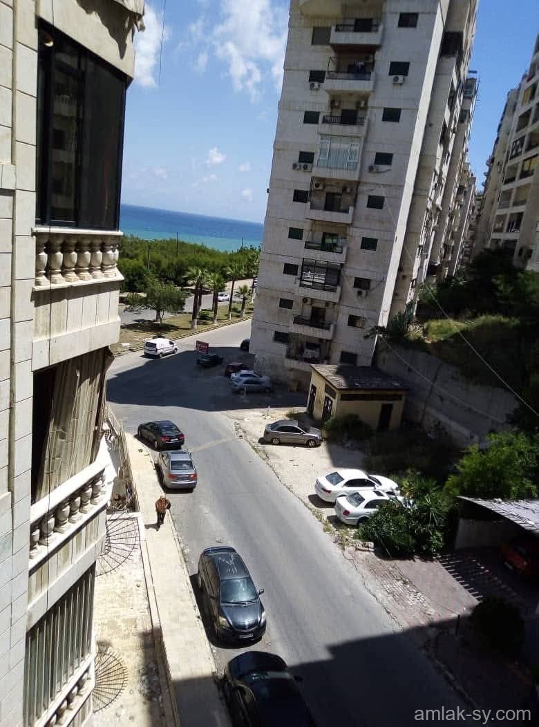 صورة العقار