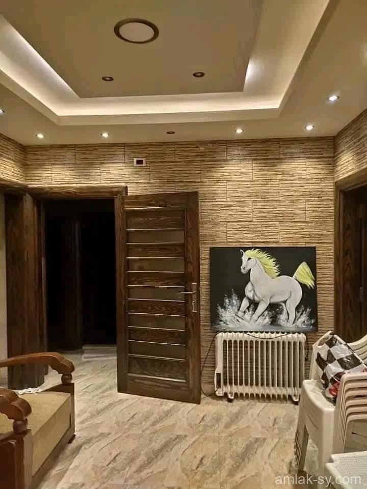 صورة العقار