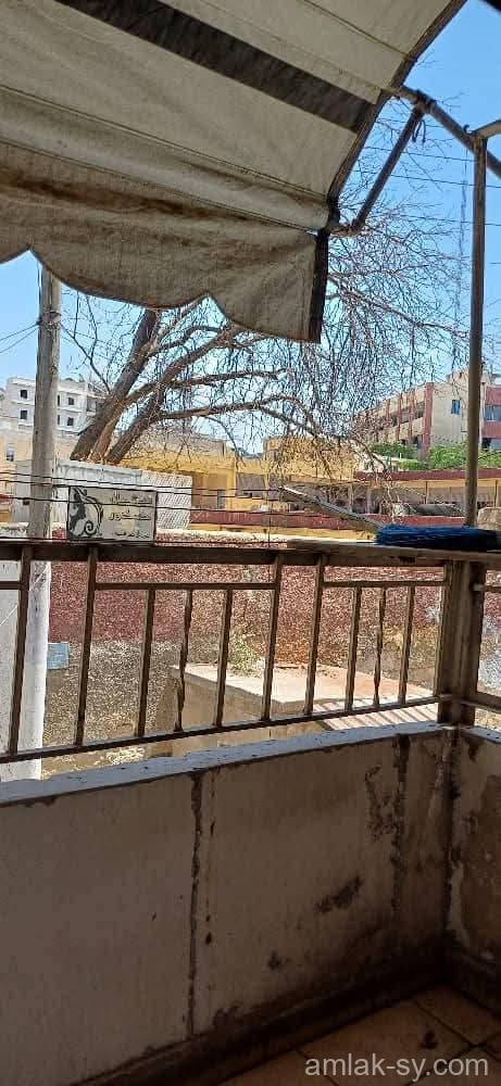 صورة العقار