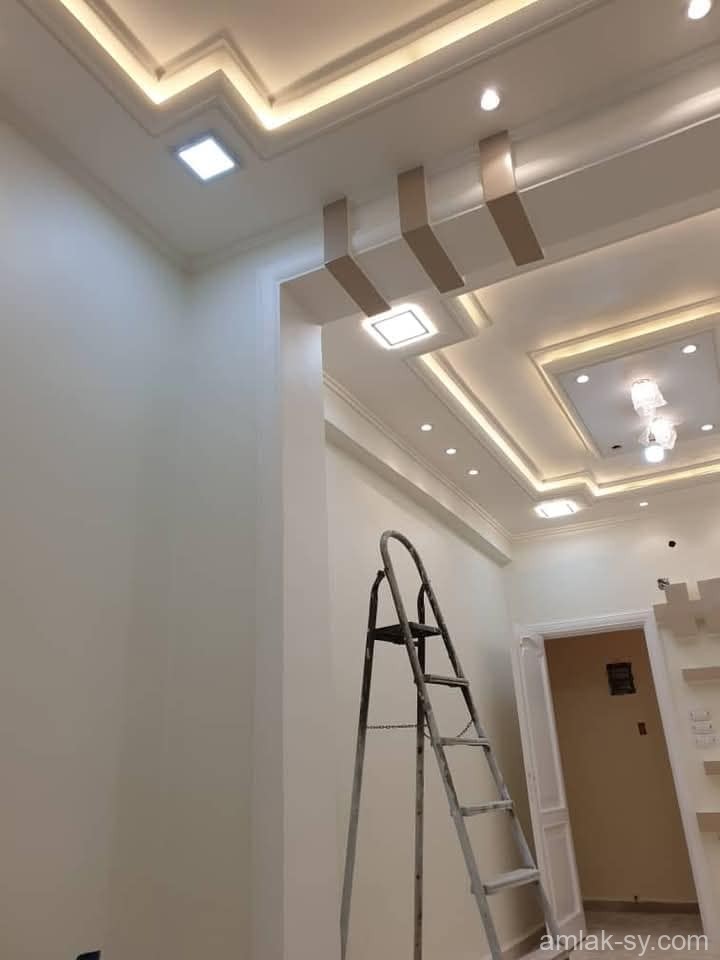 صورة العقار