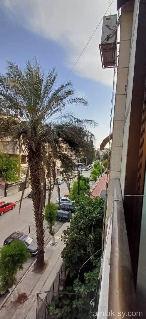صورة العقار