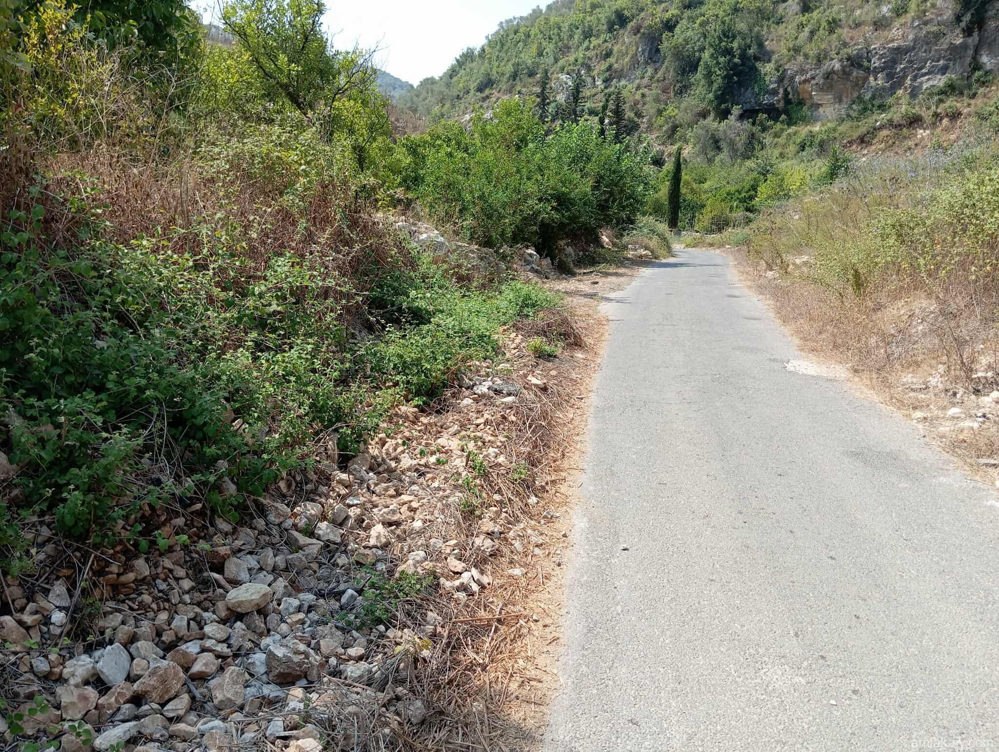صورة العقار