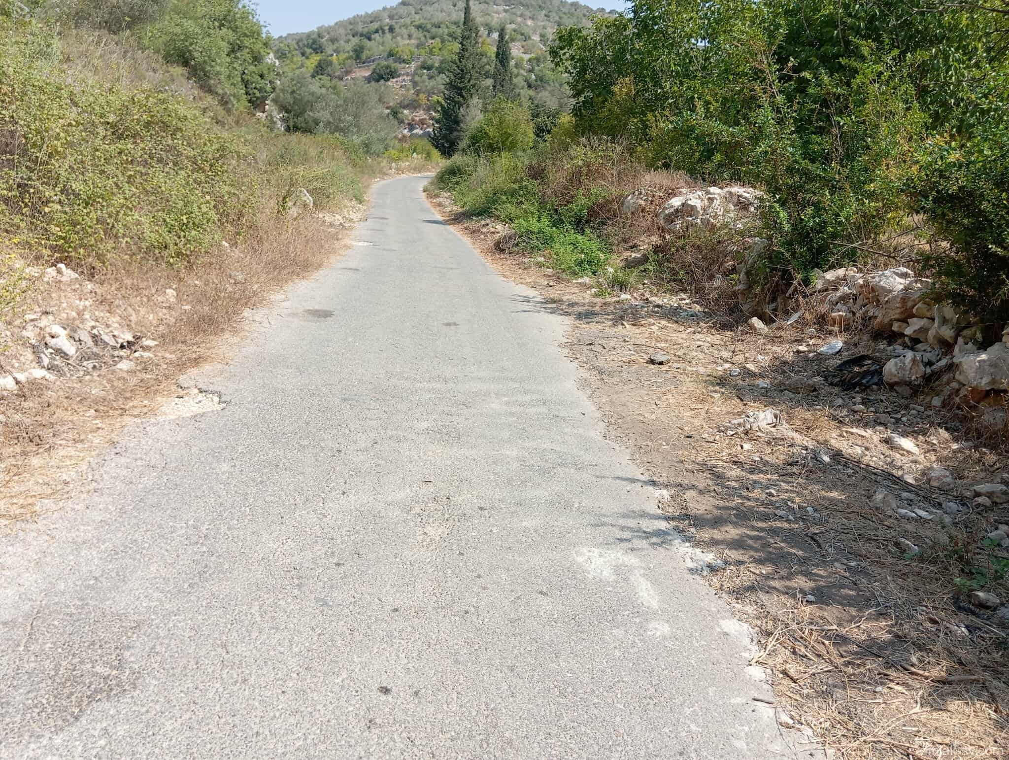 صورة العقار
