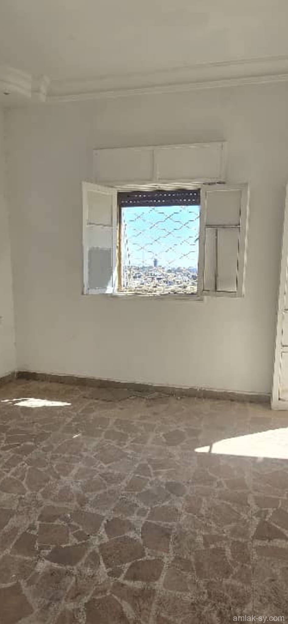 صورة العقار