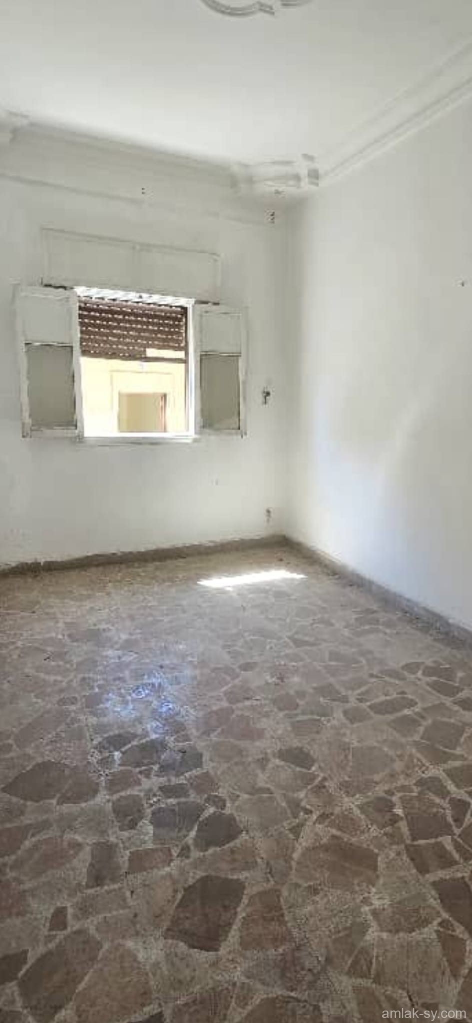 صورة العقار