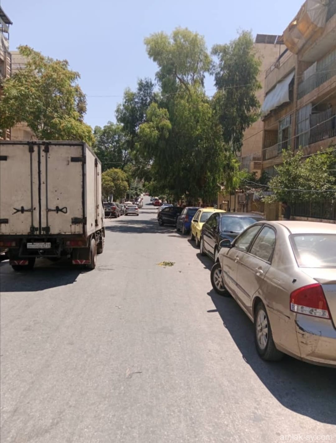 صورة العقار
