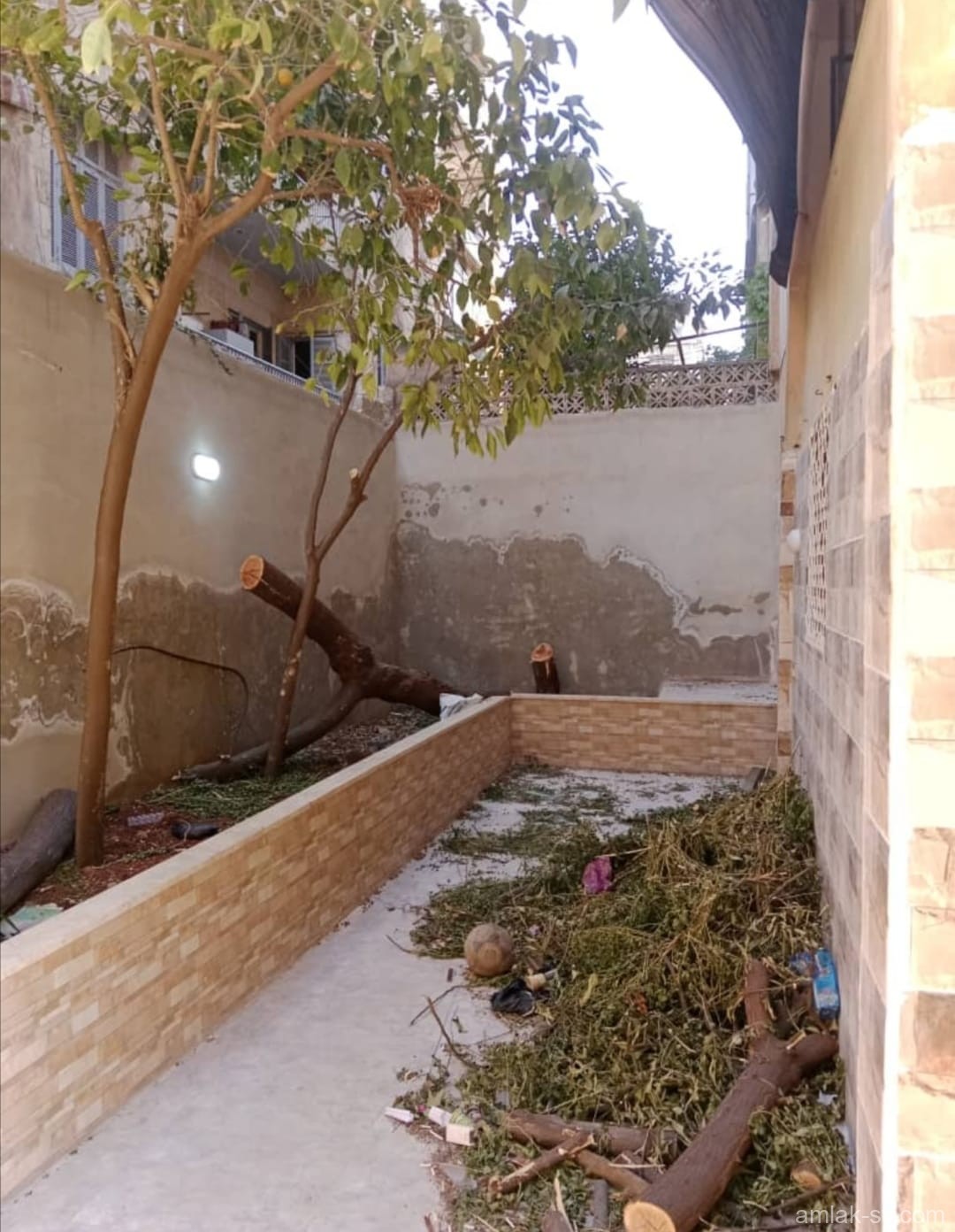 صورة العقار