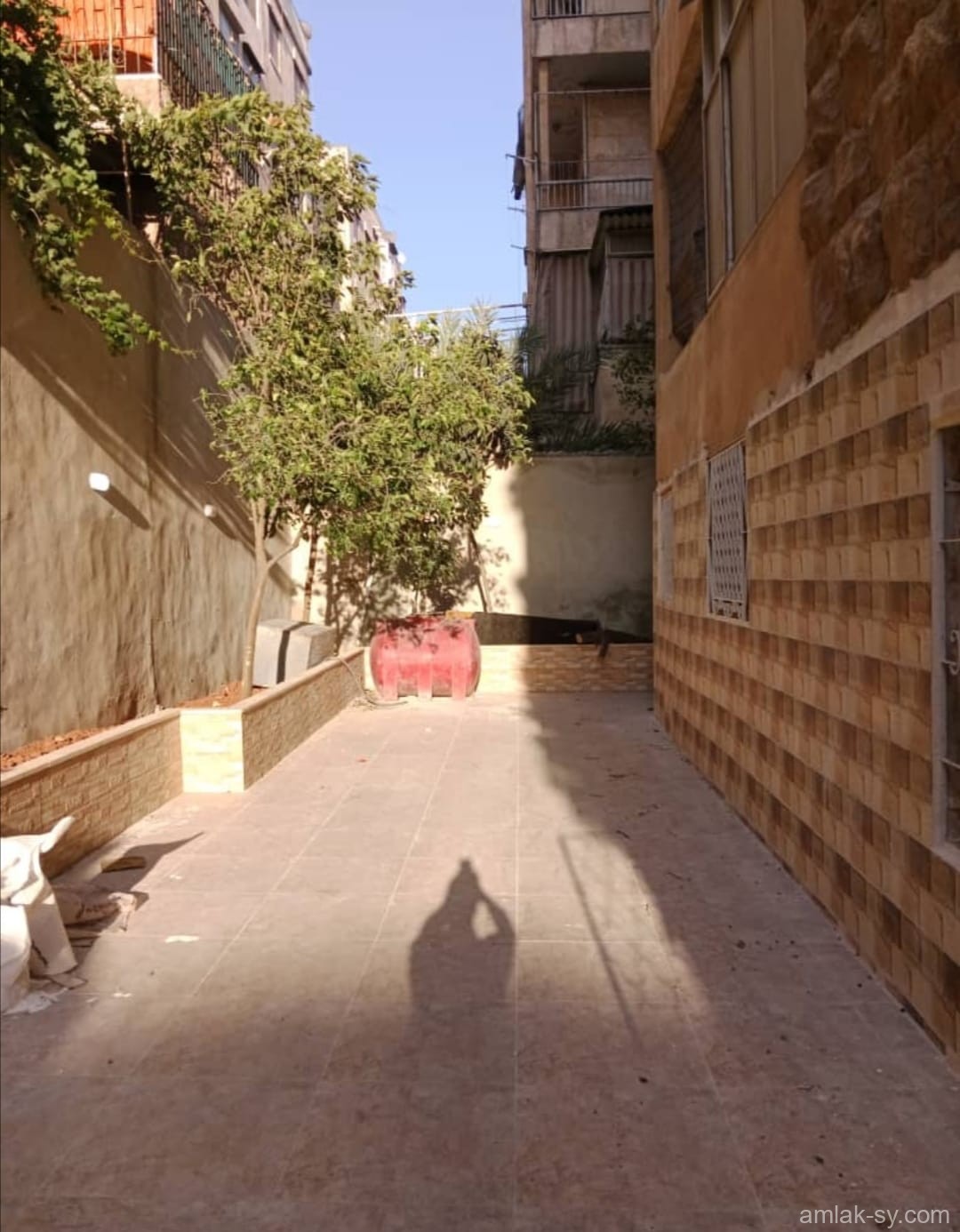 صورة العقار