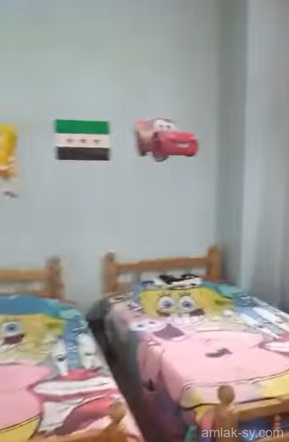 صورة العقار
