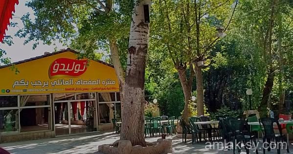 صورة العقار