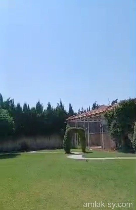صورة العقار