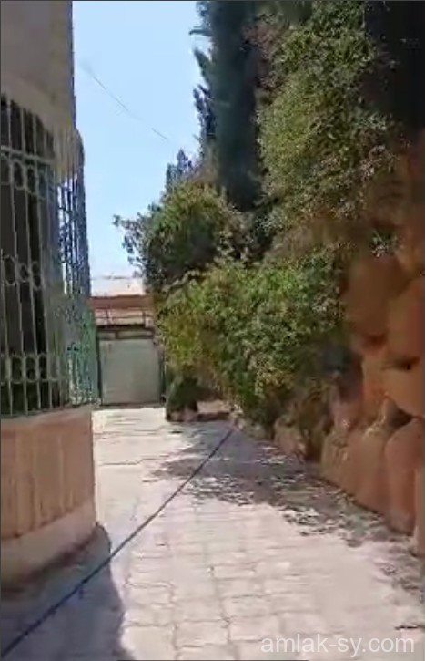 صورة العقار