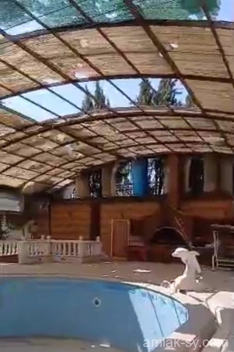 صورة العقار