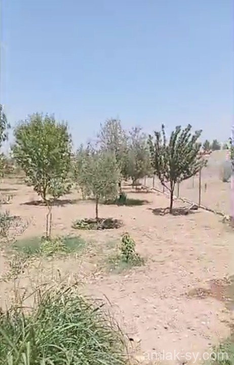 ارض في زبدين عين حاروش للبيع (571)