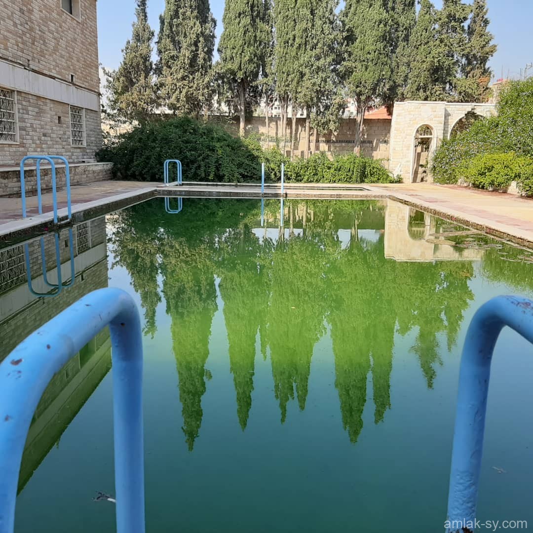 صورة العقار