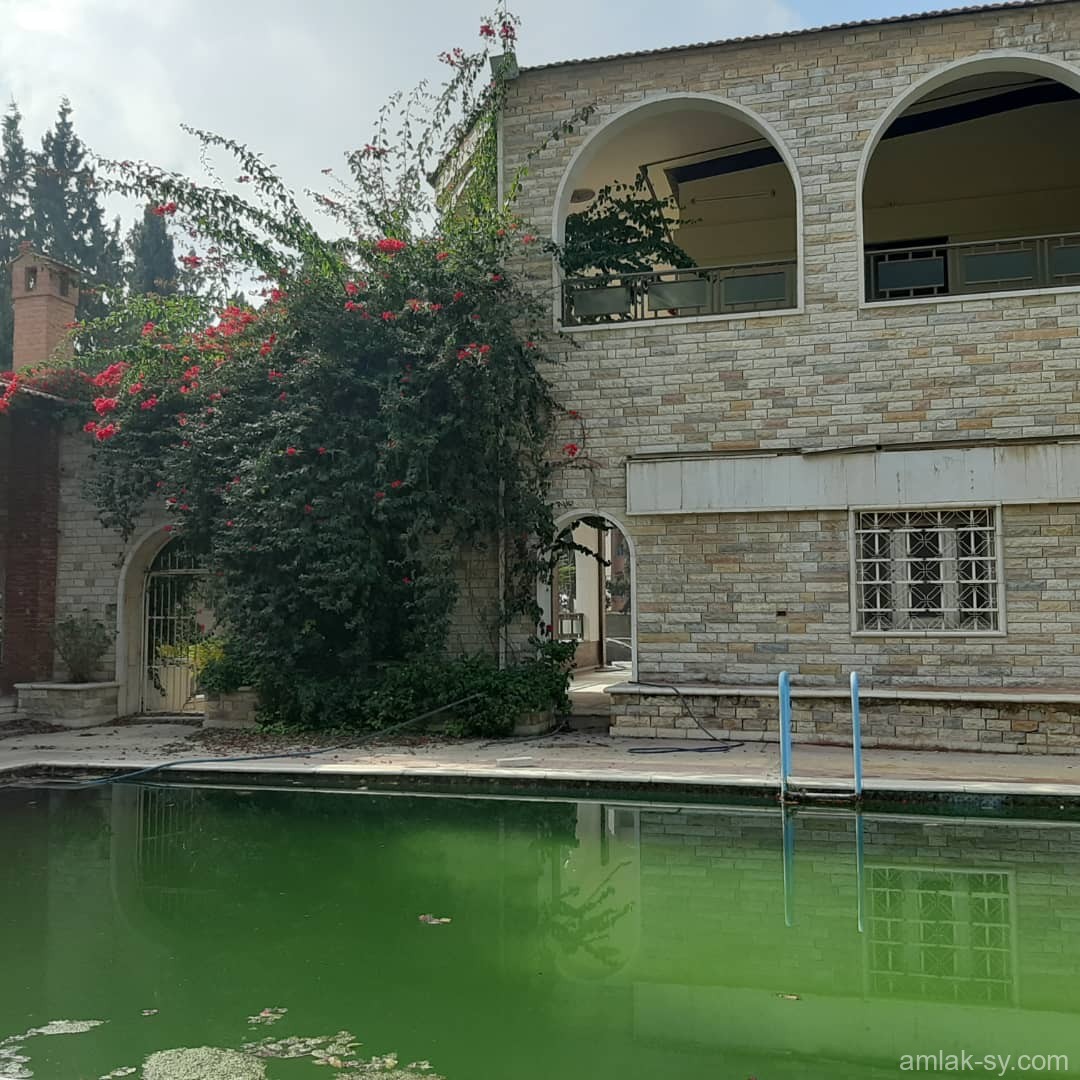 صورة العقار