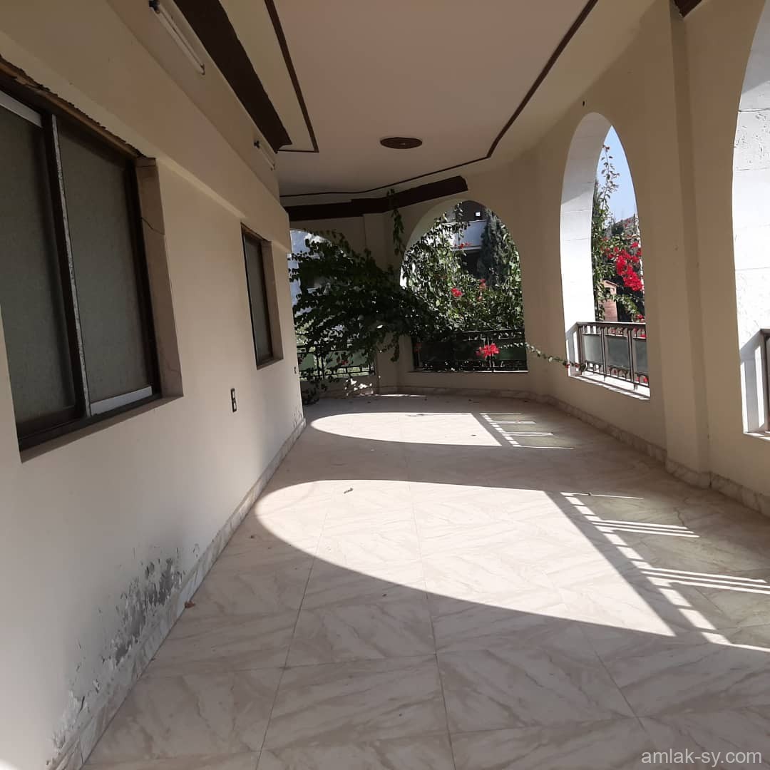 صورة العقار