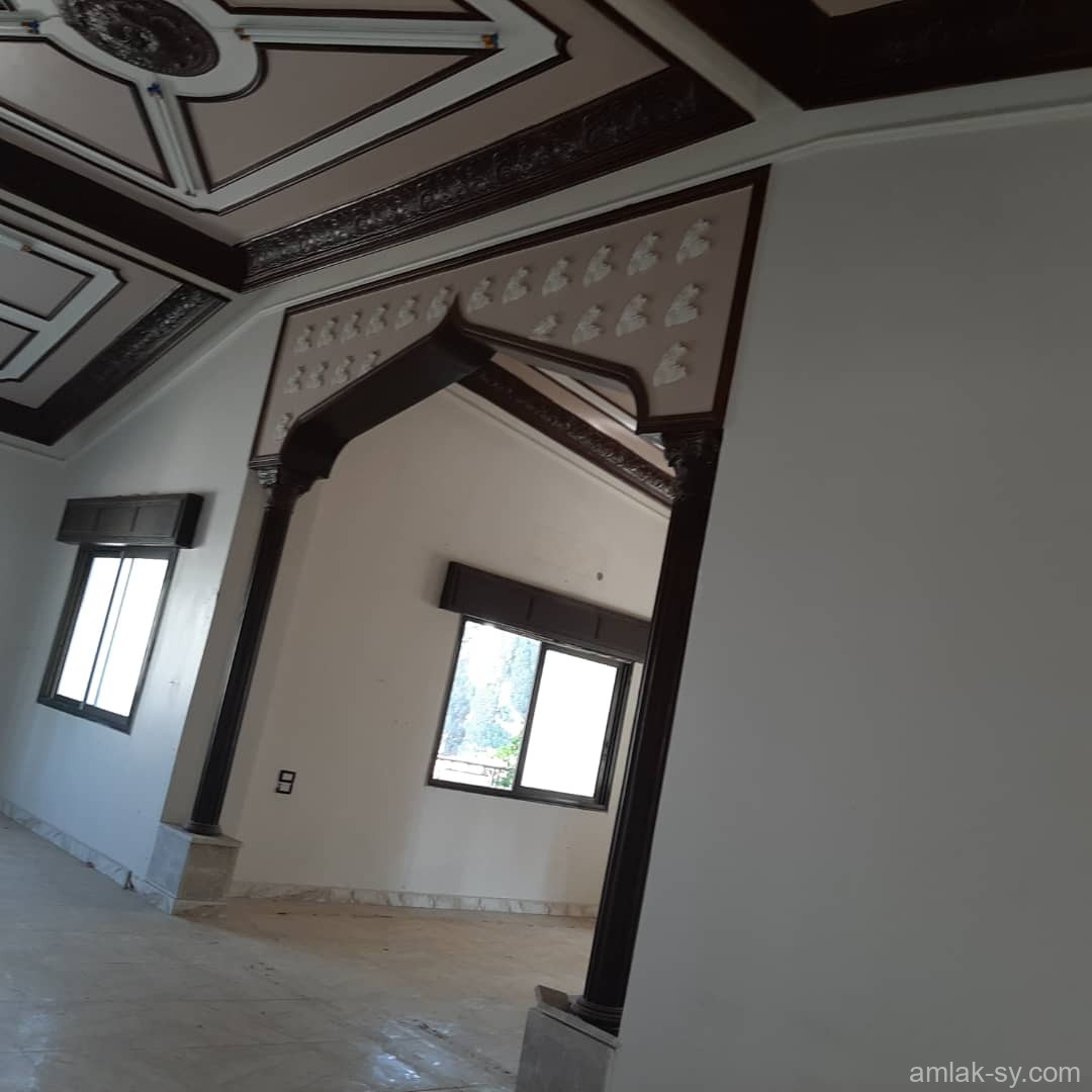 صورة العقار