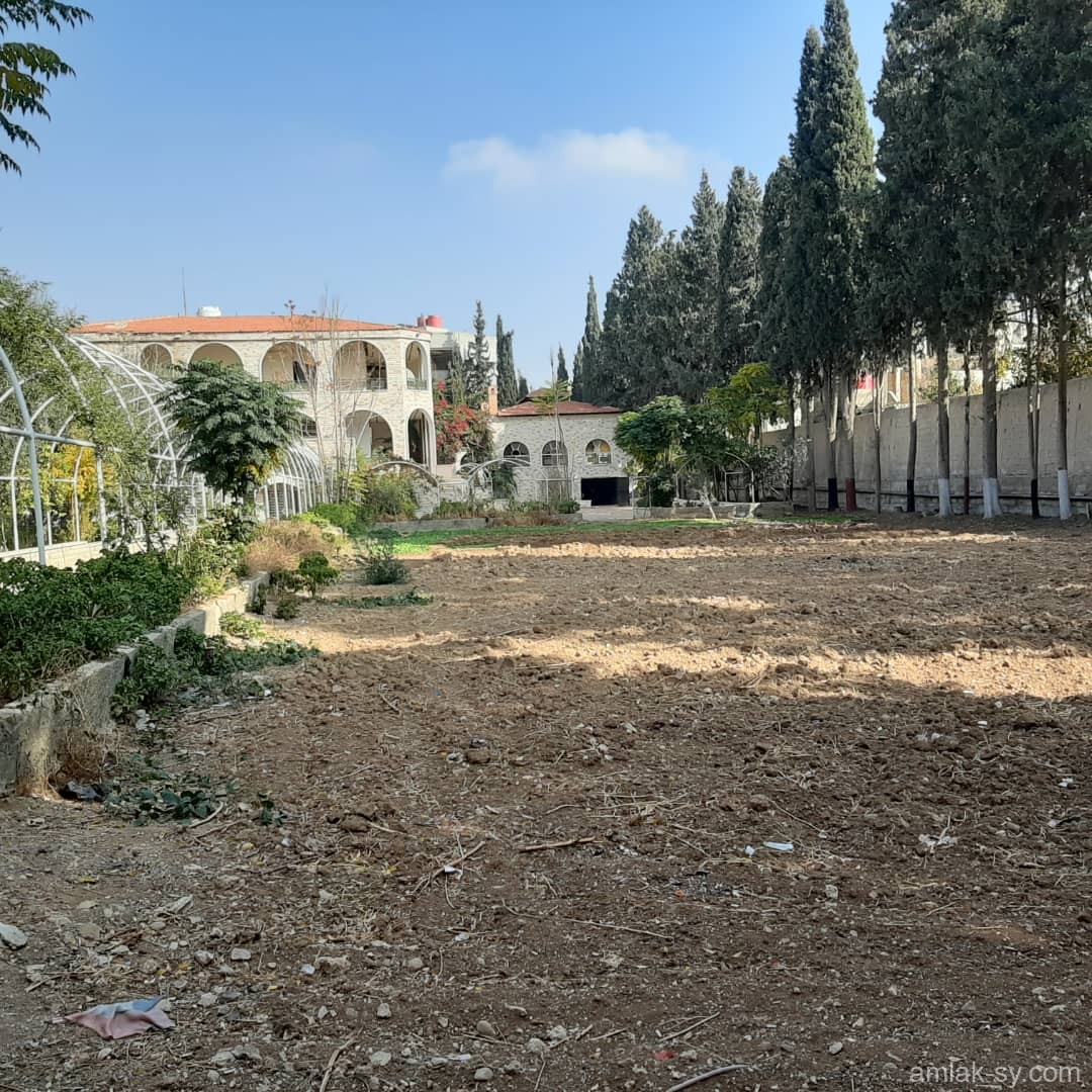 صورة العقار