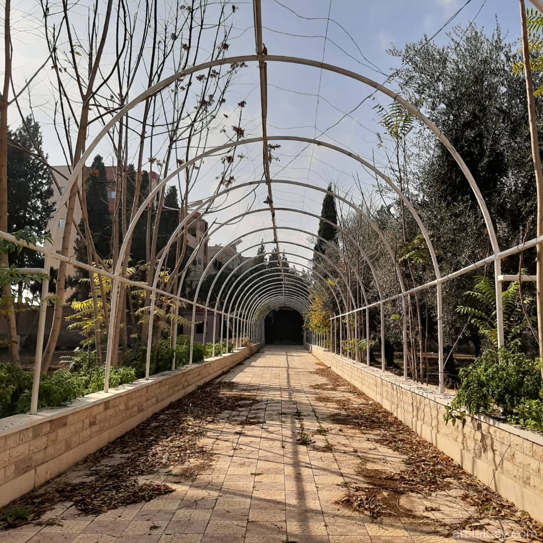 صورة العقار