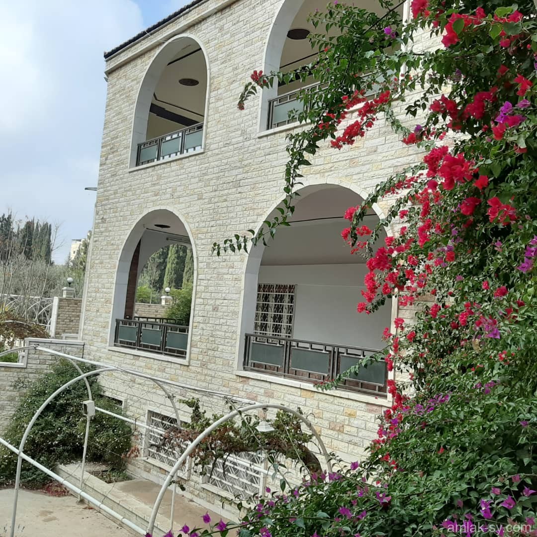 صورة العقار