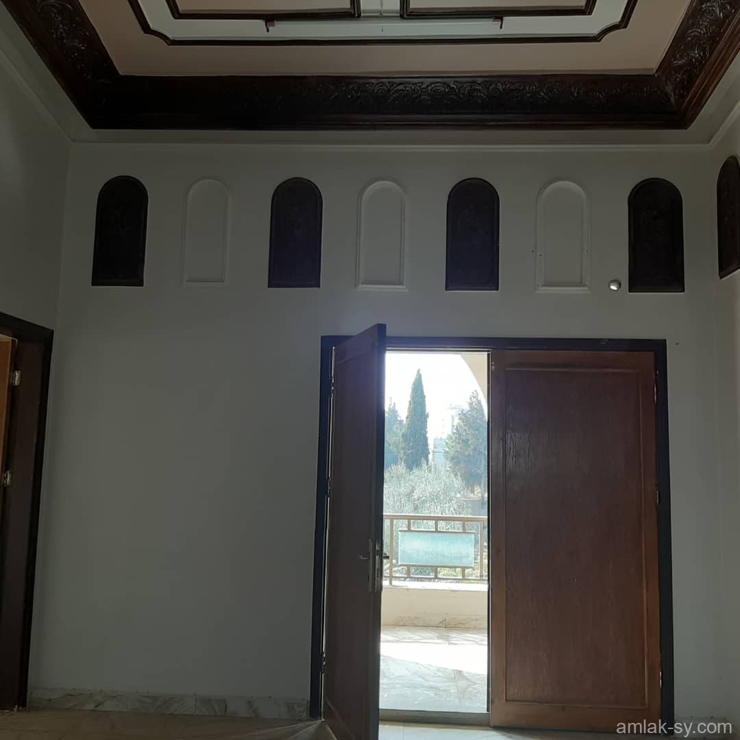 صورة العقار