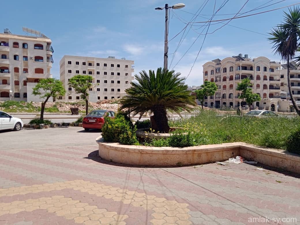 صورة العقار