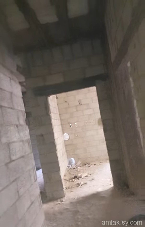 صورة العقار