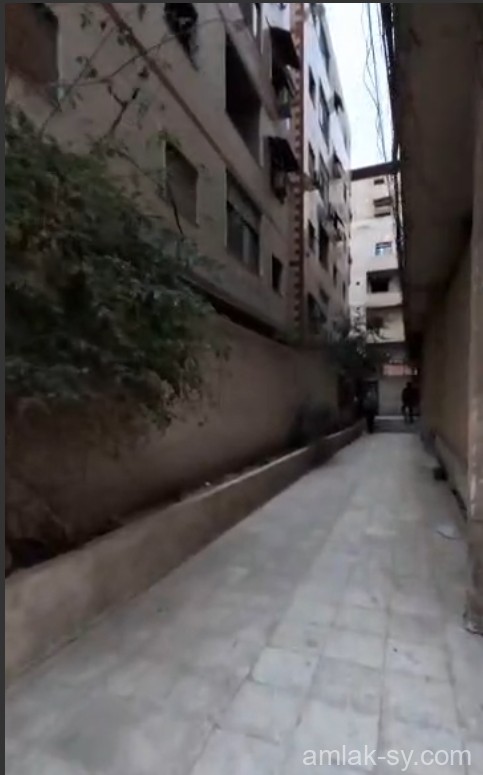 صورة العقار