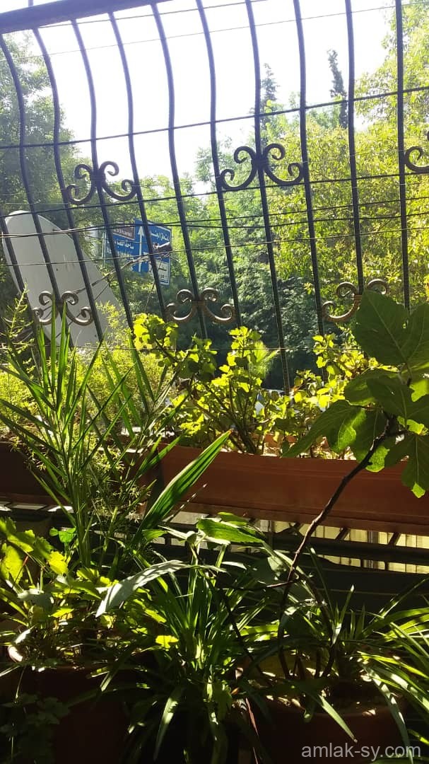 صورة العقار