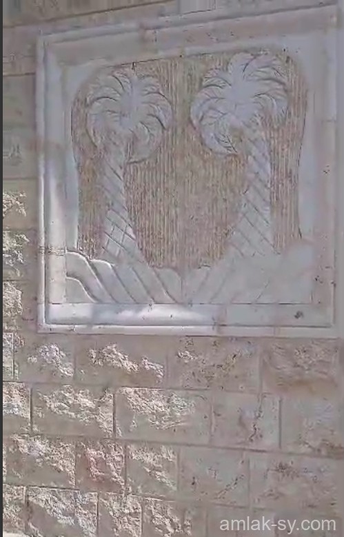 صورة العقار