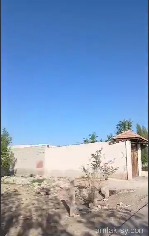 صورة العقار