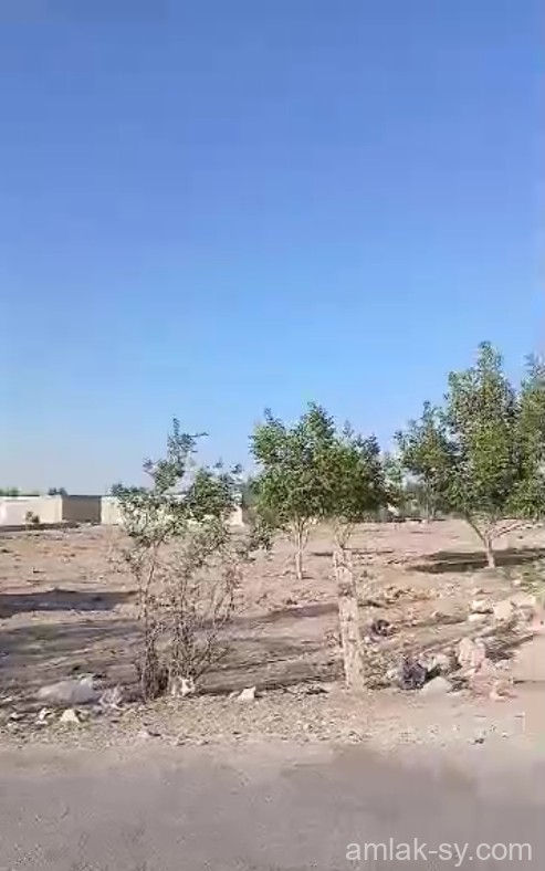 للبيع ارض ٤ دونمات ونص ريف دمشق الغوطة الشرقية زبدين العرض(597)