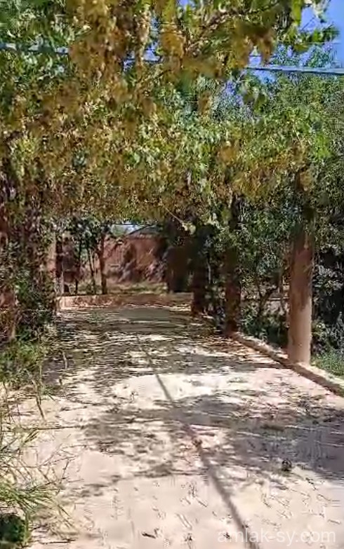 صورة العقار