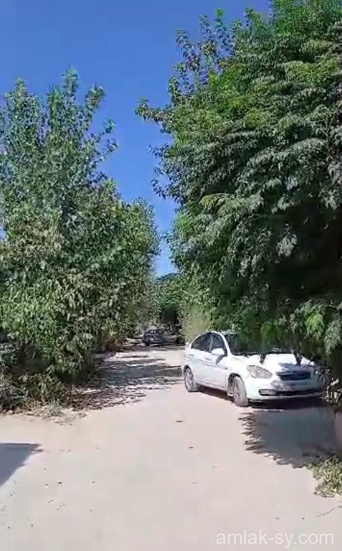 صورة العقار