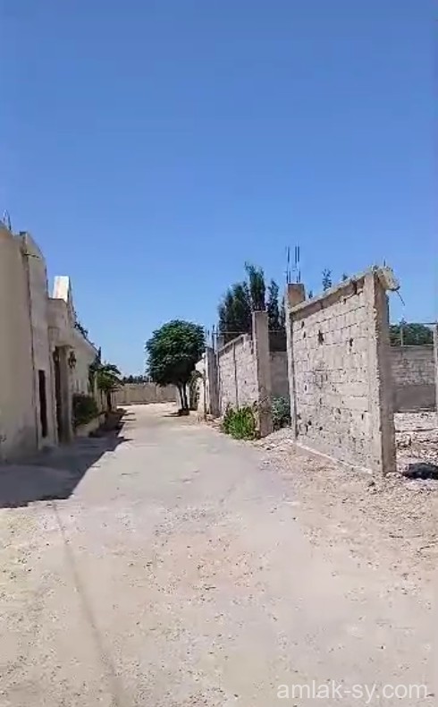 صورة العقار