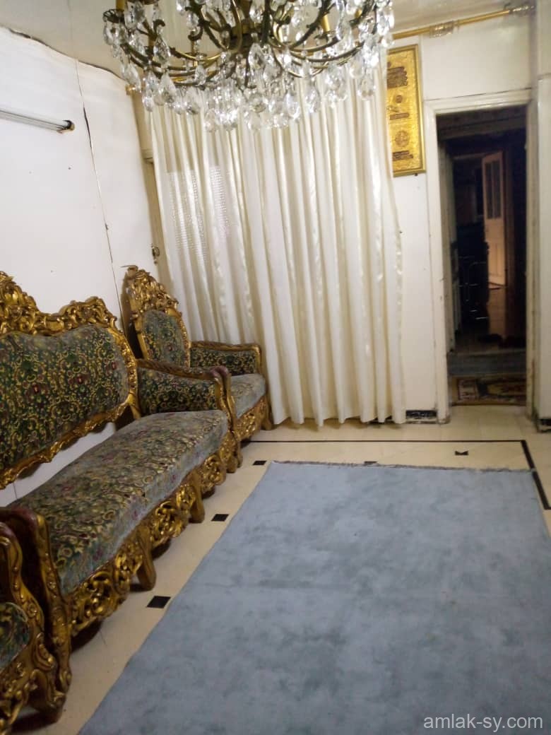 صورة العقار