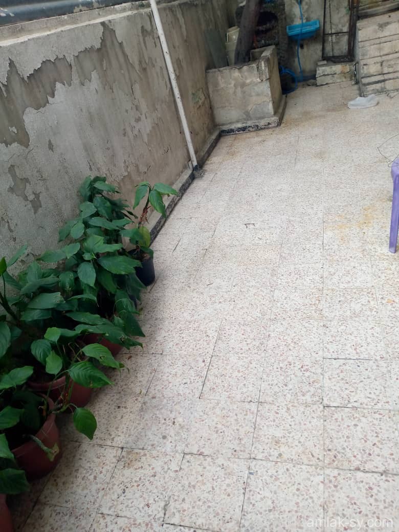 صورة العقار