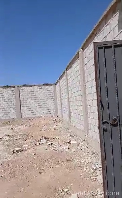صورة العقار