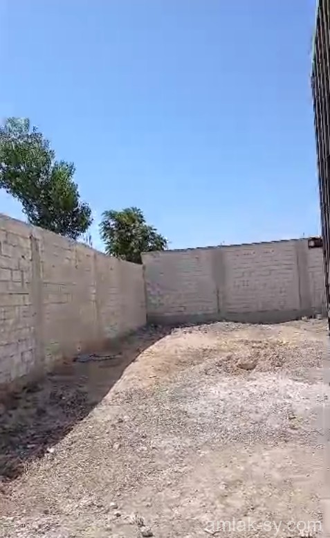 صورة العقار