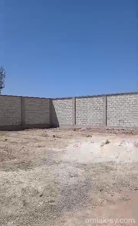صورة العقار